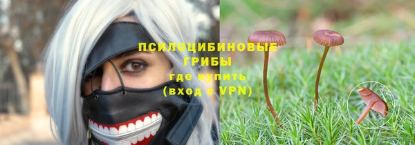 гашик Абинск