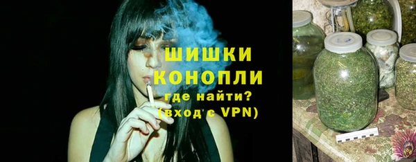 тгк Абаза