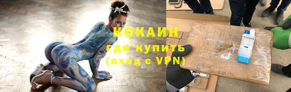 тгк Абаза
