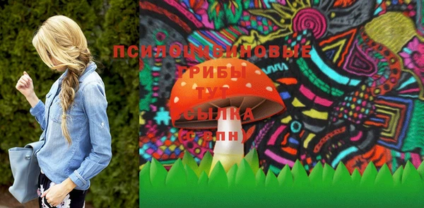 тгк Абаза