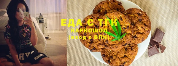 тгк Абаза