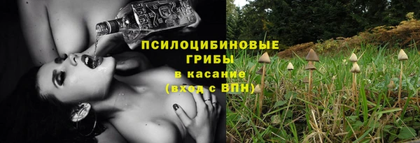 гашик Абинск
