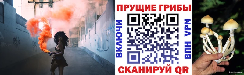 ОМГ ОМГ зеркало  где можно купить   Димитровград  Псилоцибиновые грибы Magic Shrooms 