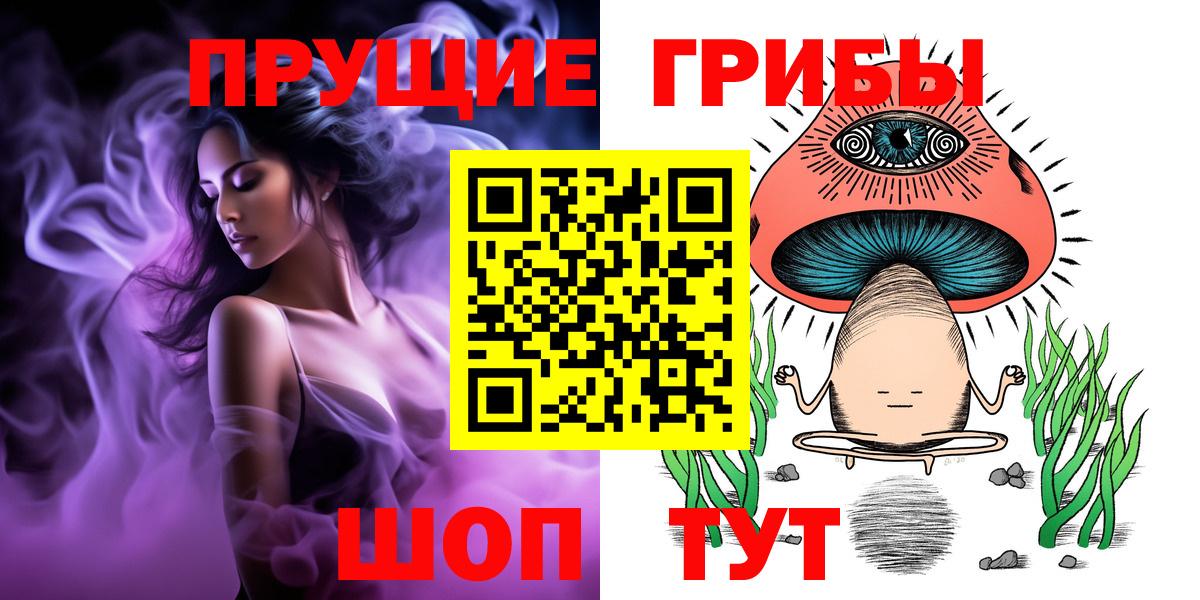 Димитровград  Псилоцибиновые грибы ЛСД  Вход с VPN 