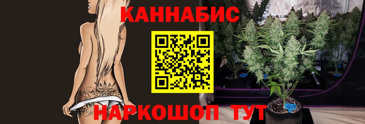 Бошки марихуана индика  Вход с VPN  Шишки марихуана AK-47  Марихуана сатива  Димитровград 